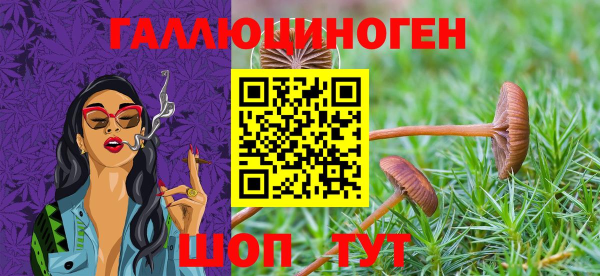 магазин    Вход с VPN  Знаменск  Псилоцибиновые грибы ЛСД 