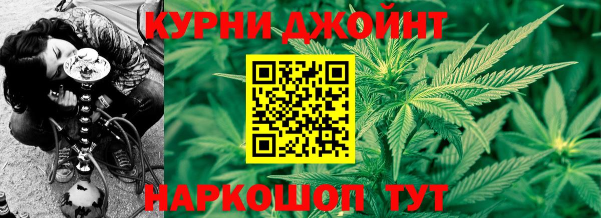 Конопля сатива  Бошки марихуана сатива  Знаменск  Марихуана White Widow  Вход с VPN 